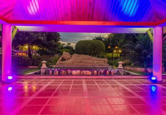 Ambience Photography India