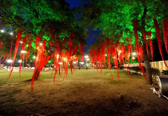 Ambience Photography Bhavnagar India