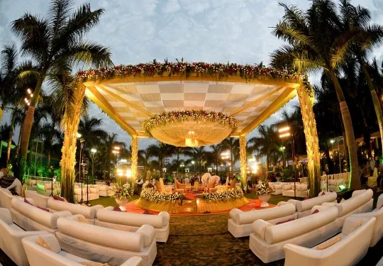 Ambience Photography Goa India