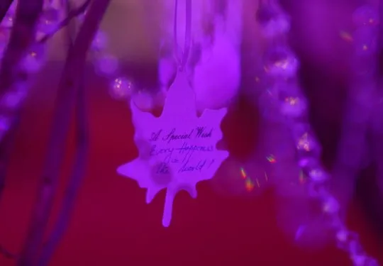 Indian Wedding Photography Details Dubai