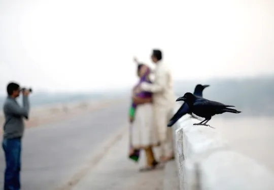 Pre Wedding Shoots Photographer India