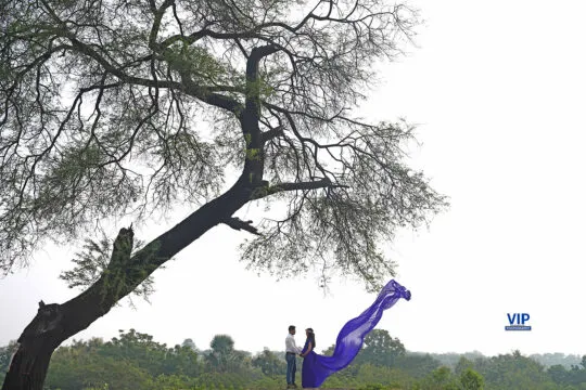 professional maternity photos india